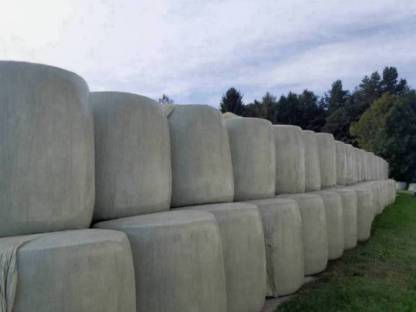 Bild 2:Silomaisballen 2025