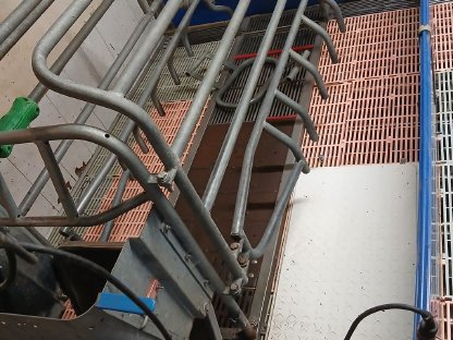 Bild 7:Aufstallung für Zuchtschweine