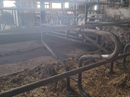 Bild 4:Selbstfangfressgitter, Liegeboxen