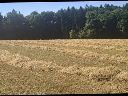 Bild 3:Bio Strohrundballen