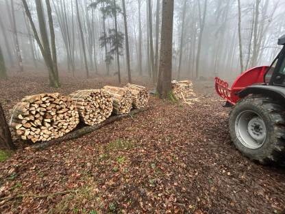 Bild 2:Brennholz
