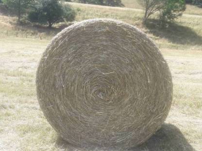 Heuballen  Rundballen