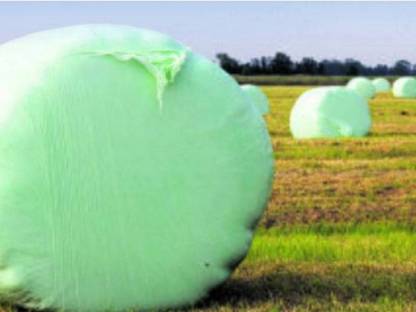 Heu/Silageballen