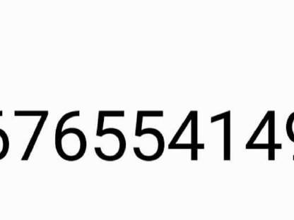 Bild 7:Steyr Kompakt 4075