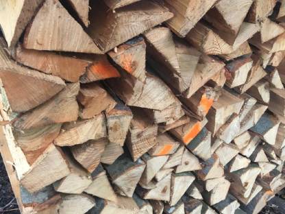 Kaminholz Buche