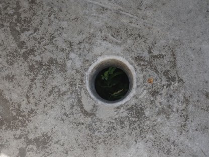 Bild 7:Wassertränke Weidetrog