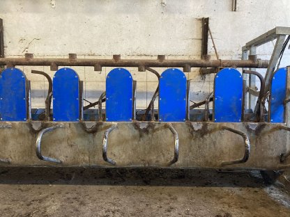 Melkstand Schafe