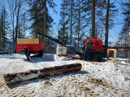 Bild 3:Sägespaltautomat MS Splitter 500