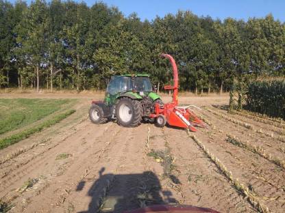 Bild 7:Kemper Champion 1200