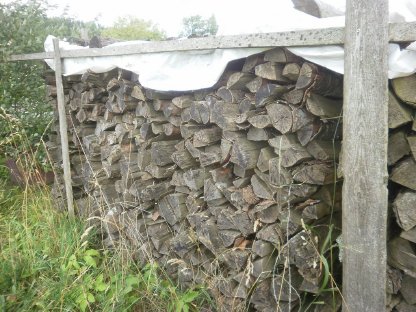 Brennholz Buche
