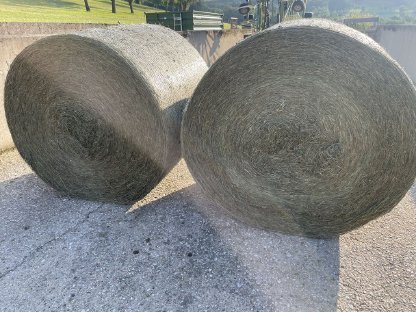 Bild 2:BIO Heuballen