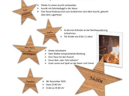 Bild 2:Ferienbetreuung auf dem Pferdehof