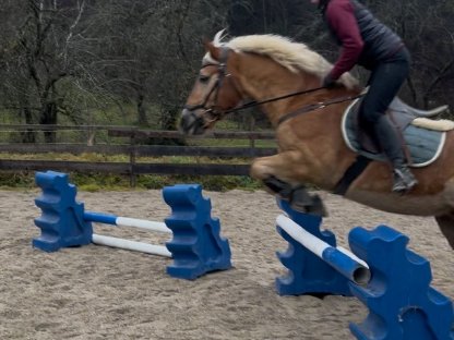 Bild 3:16-jährige Hafistute