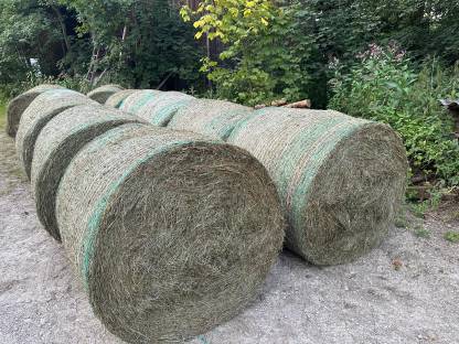 Bild 3:Heu, Grummetballen
