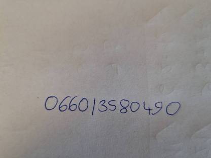 Bild 6:Kamerun-Mix Schafe