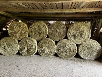 Bild 2:Heuballen