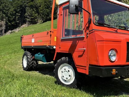 Bild 3:Reform Muli 30