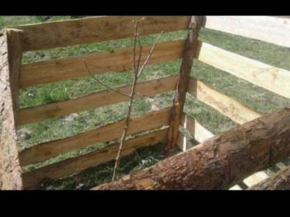 Bild 2:Holzbretter, Schwartlinge