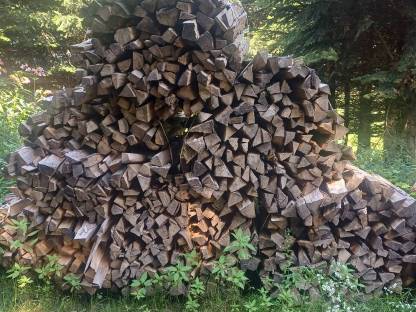 Buchenbrennholz