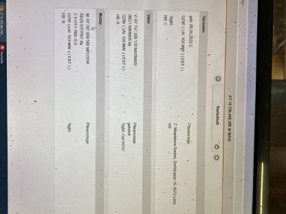 Bild 3:Pfauenziegenbock