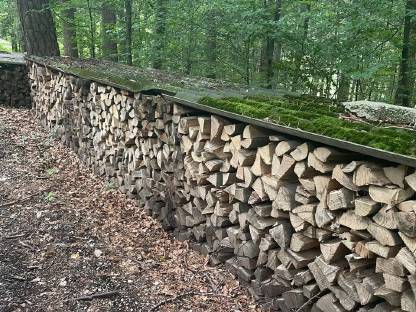 Bild 2:Brennholz
