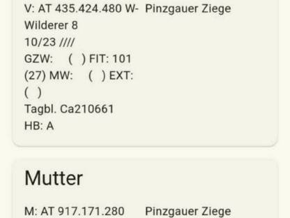 Bild 4:Pinzgauer Ziegen