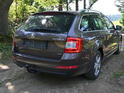 Bild 5:Skoda Octavia 1,6 TDI 4x4