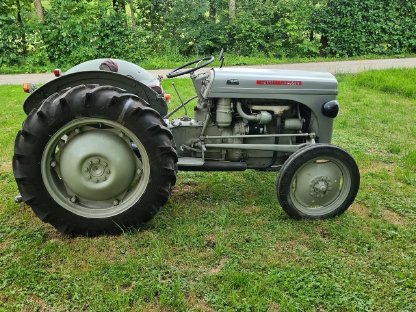 Bild 3:Massey Ferguson TEF, Bj. 1955