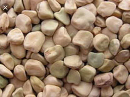 Platterbse Bio