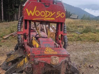 Bild 4:Hyundai Baggerprozessor mit Woody 50