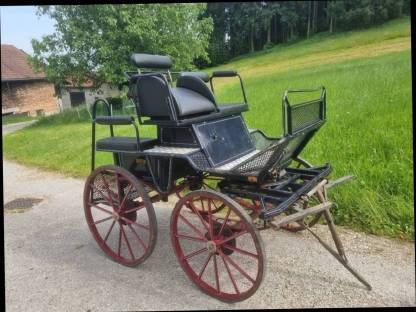 Bild 5:Kutsche Marathon