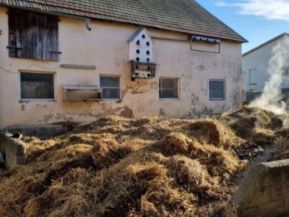 Bild 2:Pferdemist zu verschenken