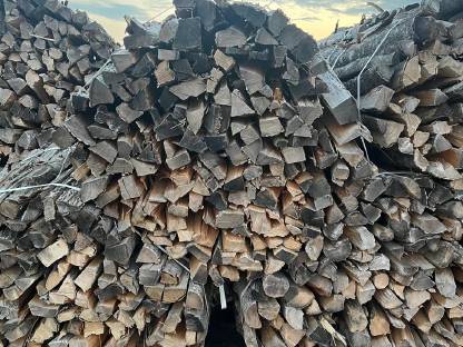 Bild 2:Brennholz