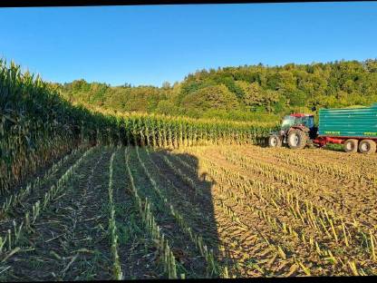 Bild 2:Silomaisballen