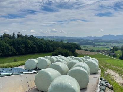 Bild 2:Silage 3. Schnitt in Rundballen