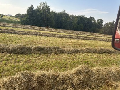 Bild 4:Bio Heu, 1. und 2. Schnitt