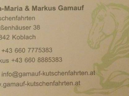 Bild 5:Kutschenfahrten im Rheintal (Koblach)