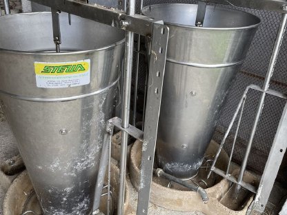 Futterautomaten für Schweine