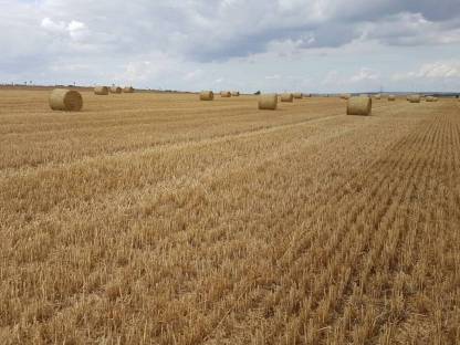 Bild 4:Stroh-Rundballen