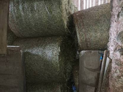 Bild 6:Heuballen günstig