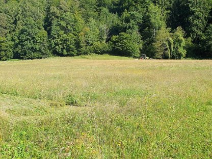 Bild 4:Bio-Pferdeheu