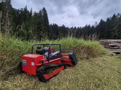 Bild 2:Mulcharbeiten Mulchraupe Mulcher