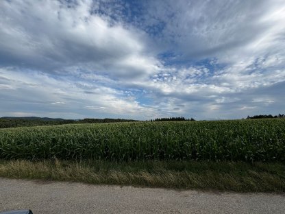 Acker inkl. Wald in Katastralgemeinde Großgraben