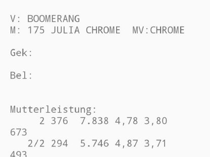 Bild 2:Verkaufe Jersey Kalbin