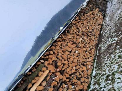 Brennholz Buche