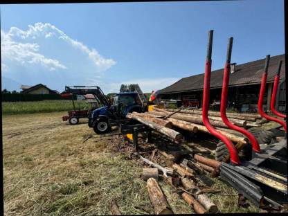 Bild 3:Ich spalte dein Brennholz ofenfertig