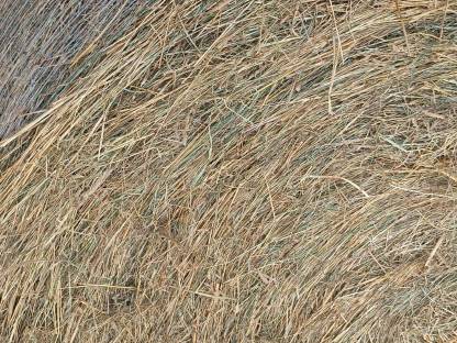 Bild 2:Biodiversitäts-Heuballen