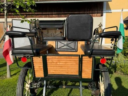 Bild 3:Kutsche - Wagonette - Pferdekutsche