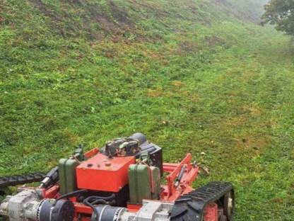 Bild 9:Mulcharbeiten, Mäharbeit, Böschungsmähen