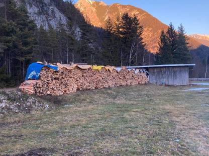 Bild 3:Trockenes Buchenbrennholz aus dem Karwendel
